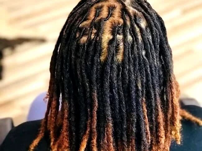 Back view of neat, uniform locs fading from black roots to honey-blonde ends
